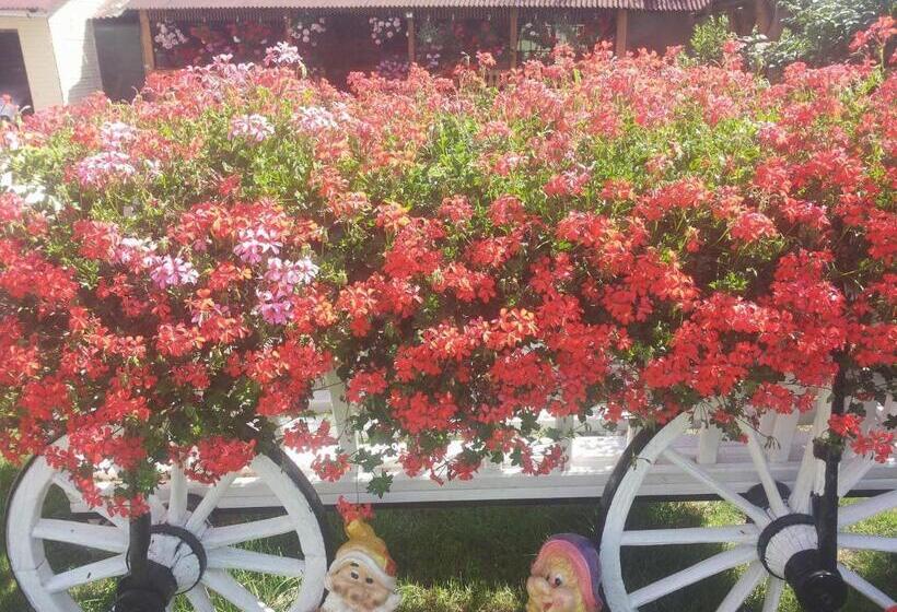 بنسيون Casa Carmen