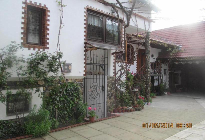 פנסיון Casa De Vacanta Vidrighin