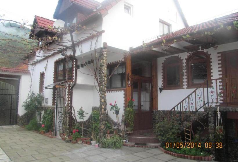 펜션 Casa De Vacanta Vidrighin