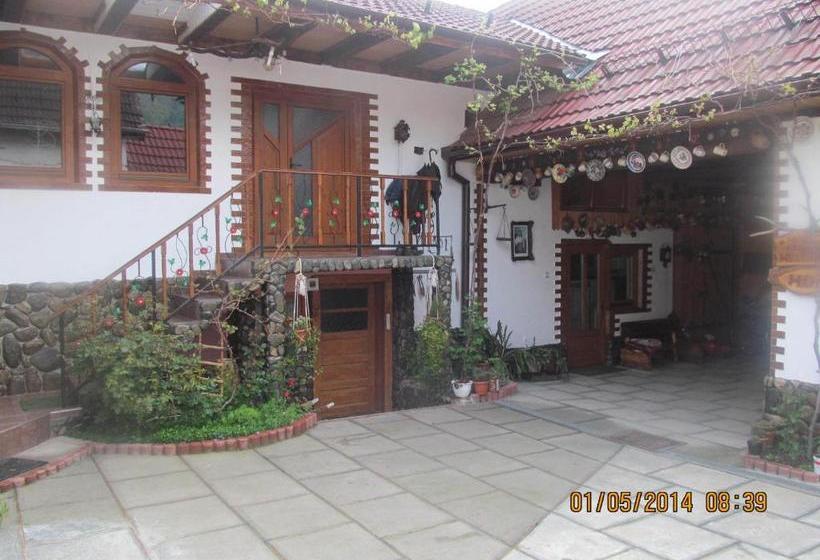 פנסיון Casa De Vacanta Vidrighin