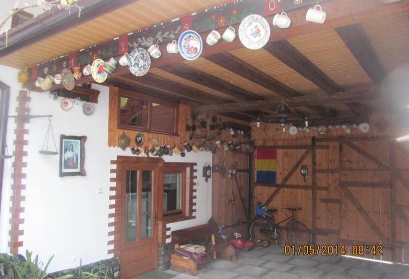 פנסיון Casa De Vacanta Vidrighin