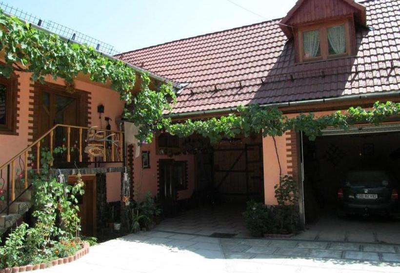 פנסיון Casa De Vacanta Vidrighin