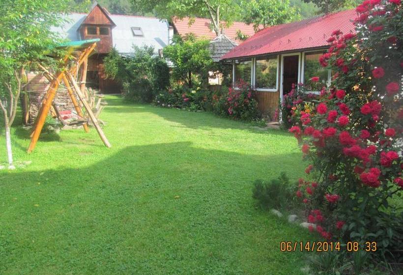 펜션 Casa De Vacanta Vidrighin