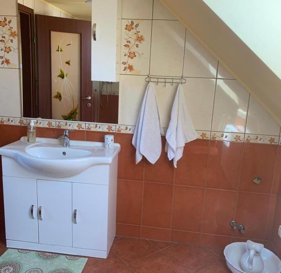 بنسيون Casa Lenke