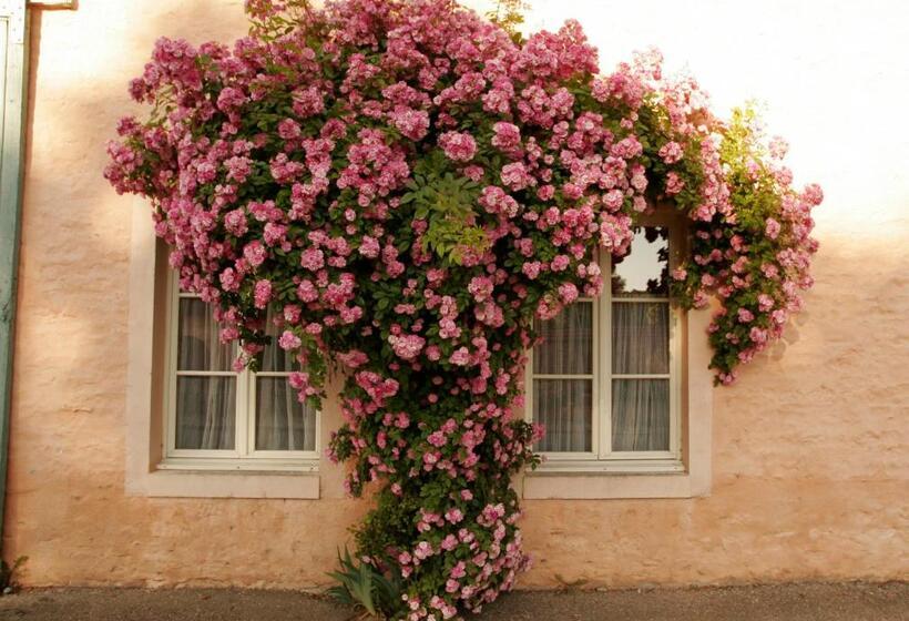 펜션 Côté Serein   Les Chambres Du Clos Malo