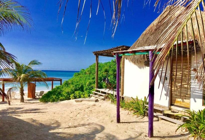 بنسيون El Secreto Ocean Front Cabin