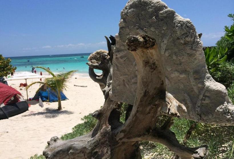 펜션 El Secreto Ocean Front Cabin