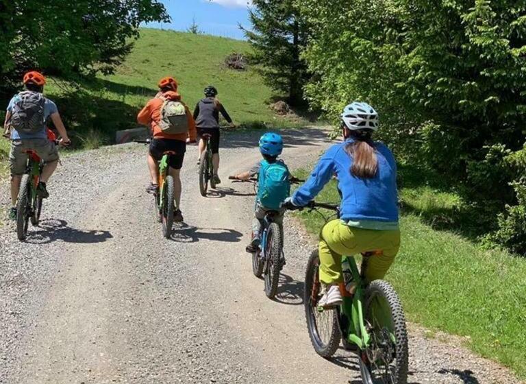 Пансион Franzdorf Alpin