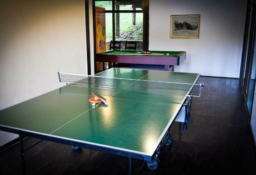 Пансион Franzdorf Alpin