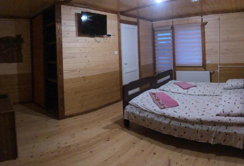 膳宿费 Guest House Dvir Pysanka