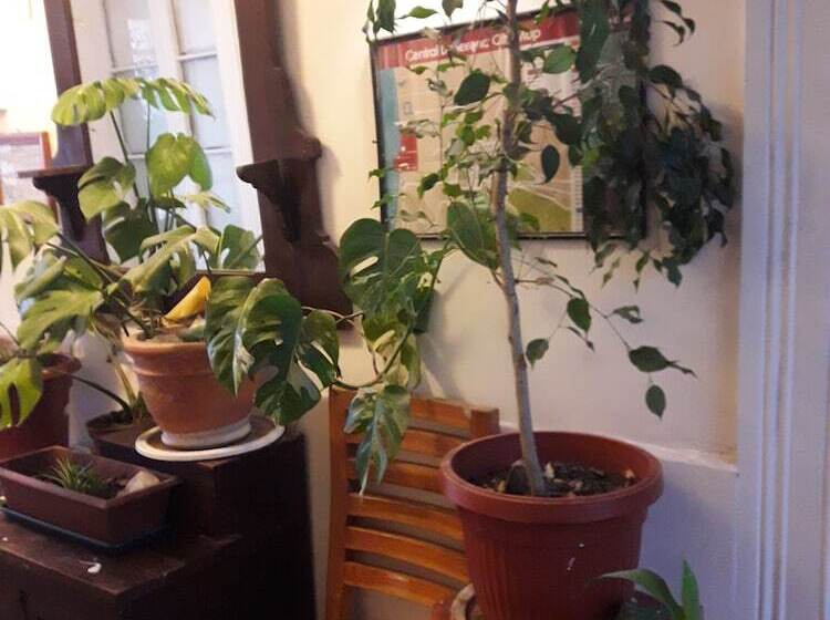 פנסיון Hostal La Mestiza   Hostel