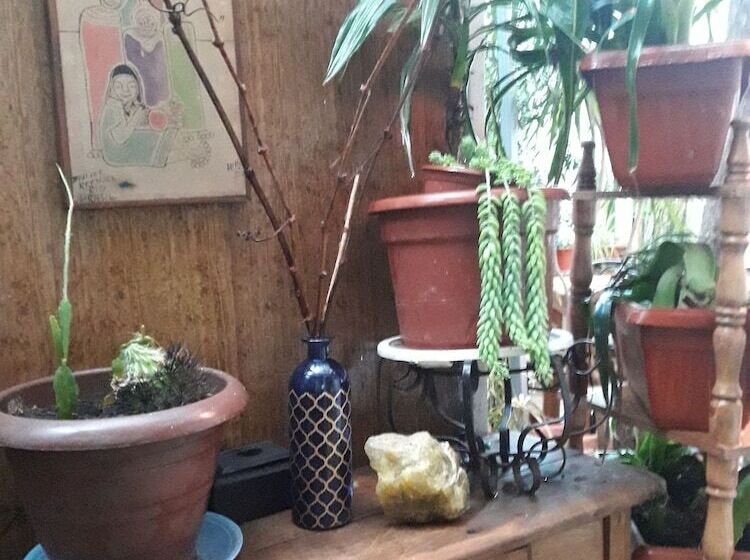 פנסיון Hostal La Mestiza   Hostel