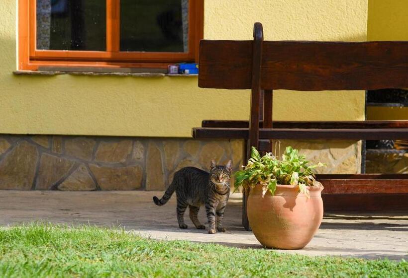 بنسيون Mokus Vendeghaz