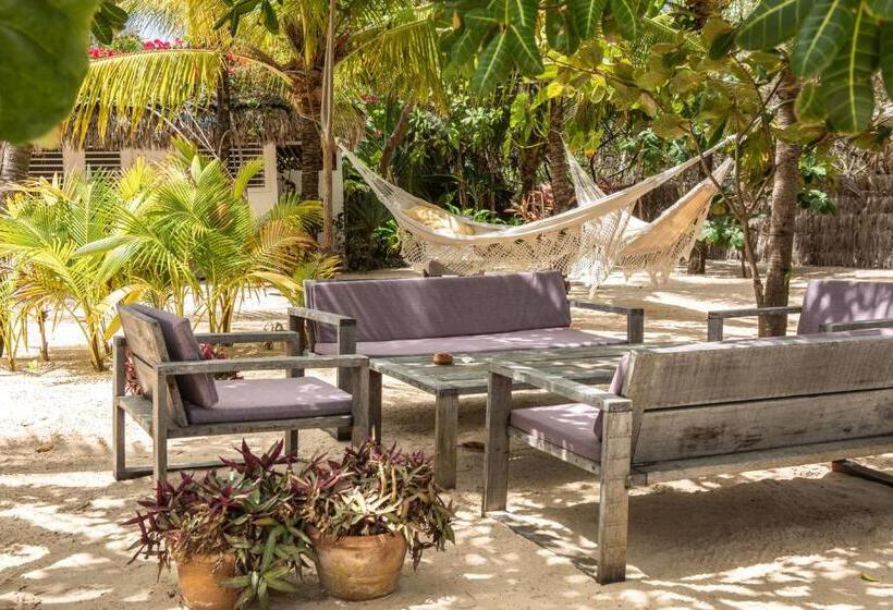 بنسيون Muita Paz