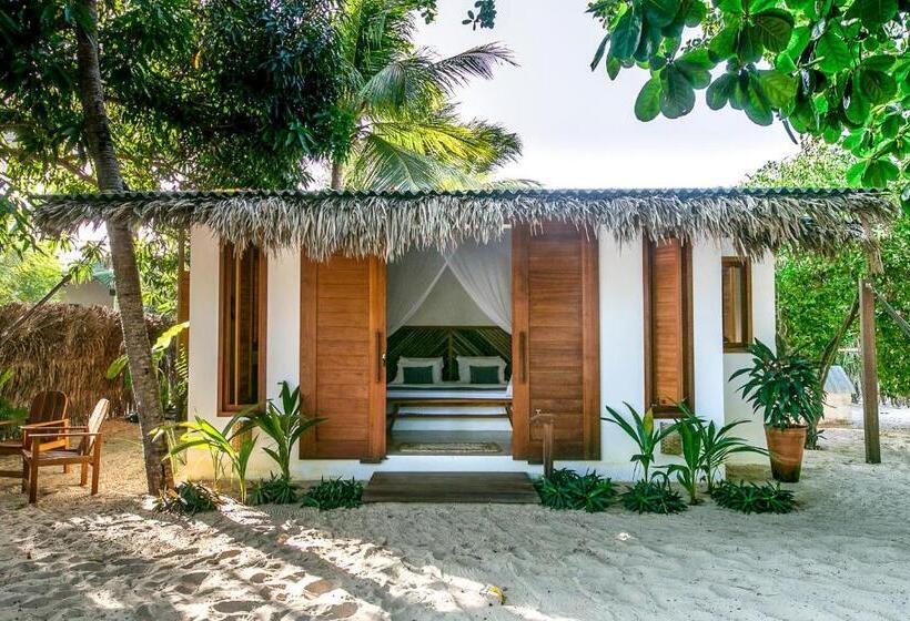 بنسيون Muita Paz