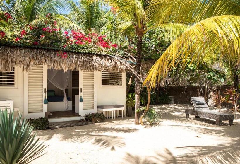 بنسيون Muita Paz