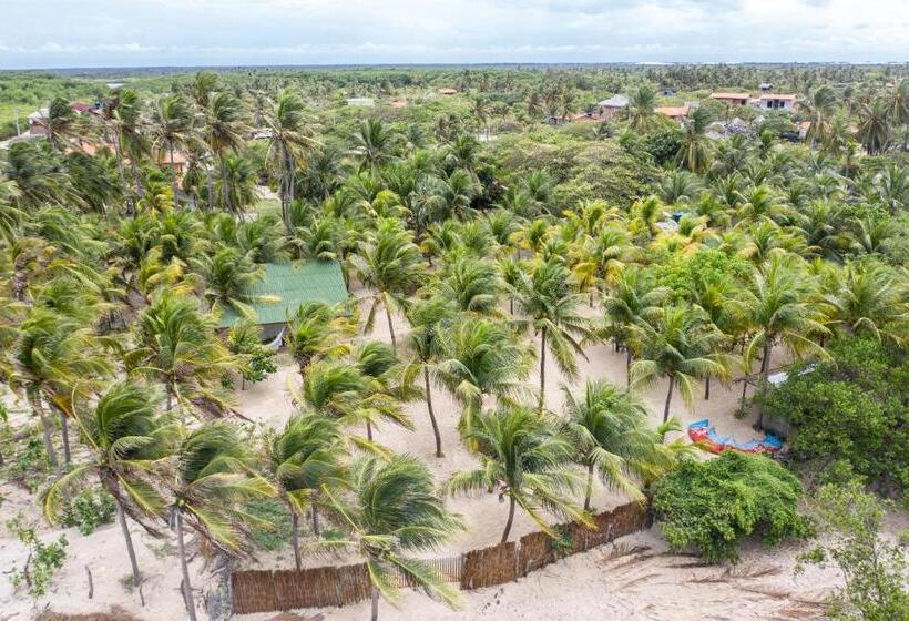 بنسيون Muita Paz