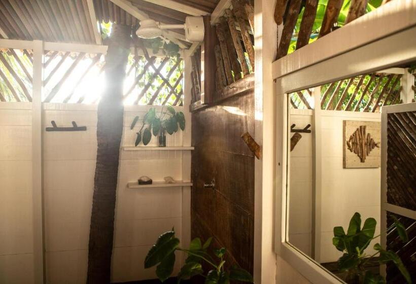 بنسيون Muita Paz