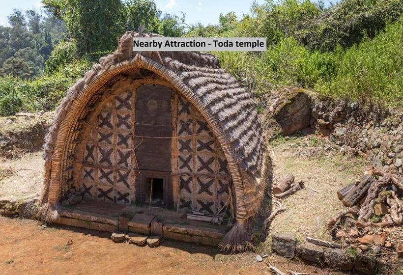 פנסיון Oyo Home 30447 Valley View Studio Adasholai