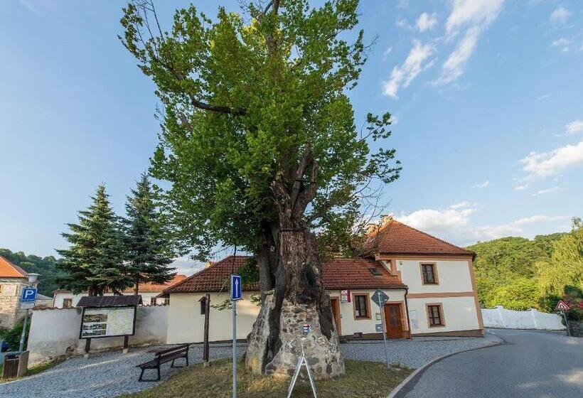 ペンション Penzion A Kemp Koruna