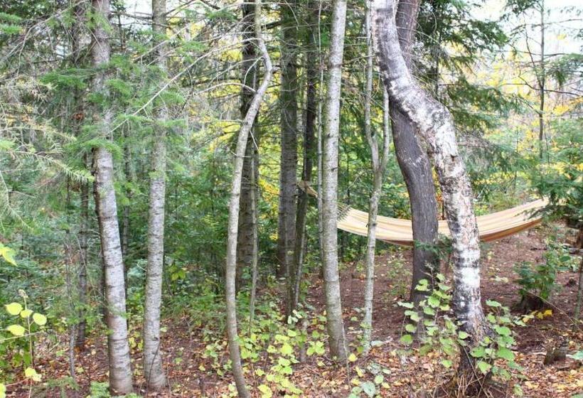 پانسیون Skhovanka Dovbusha