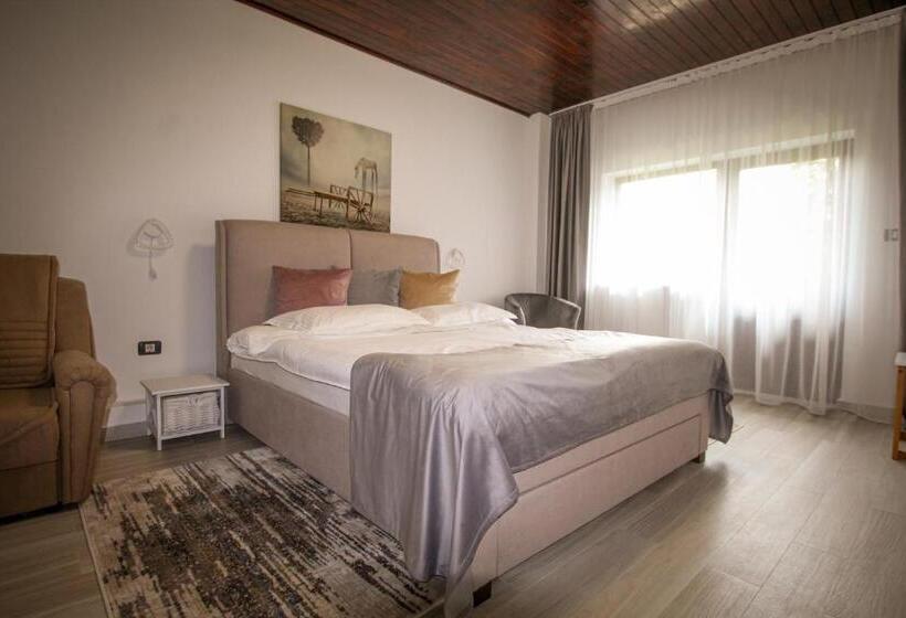 פנסיון Vila Smaranda