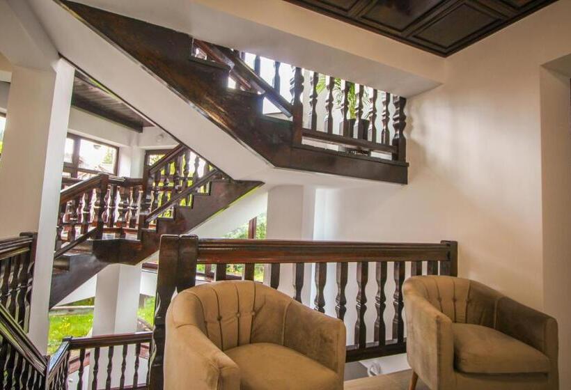 פנסיון Vila Smaranda