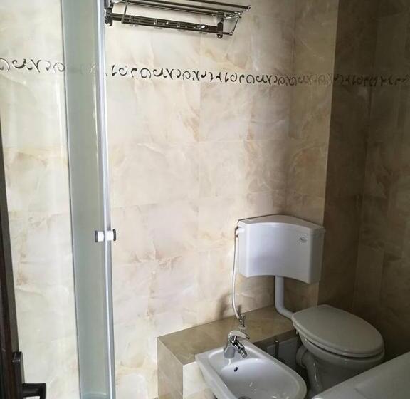 פנסיון Vila Teju Valeni