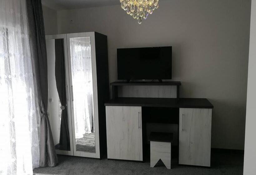 פנסיון Vila Teju Valeni