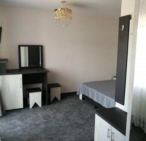 פנסיון Vila Teju Valeni