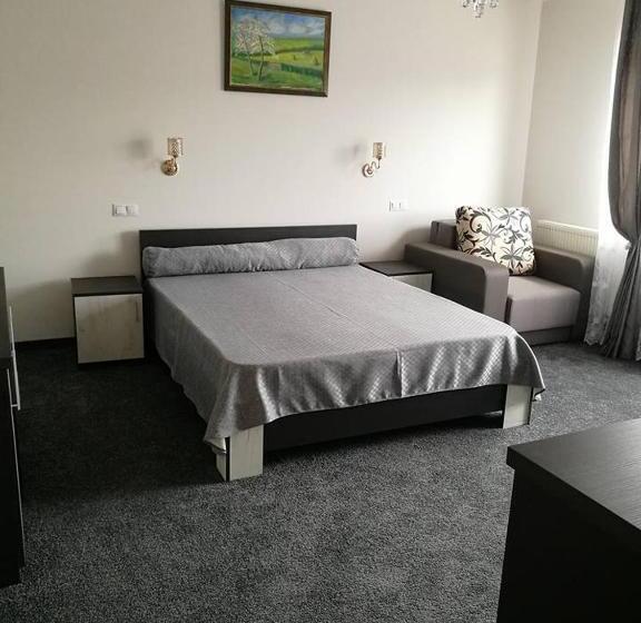 פנסיון Vila Teju Valeni