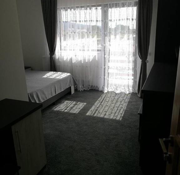 פנסיון Vila Teju Valeni