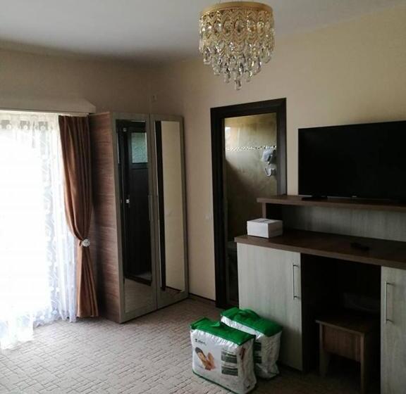 פנסיון Vila Teju Valeni