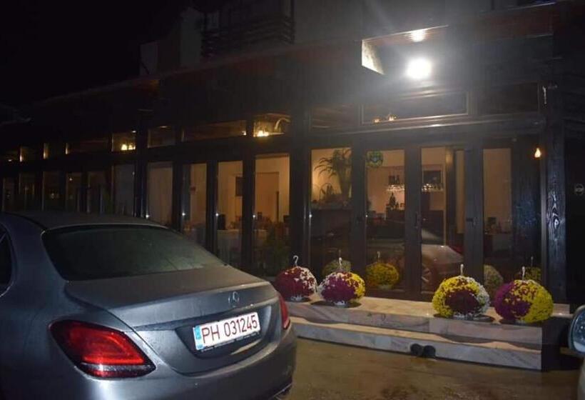 פנסיון Vila Teju Valeni