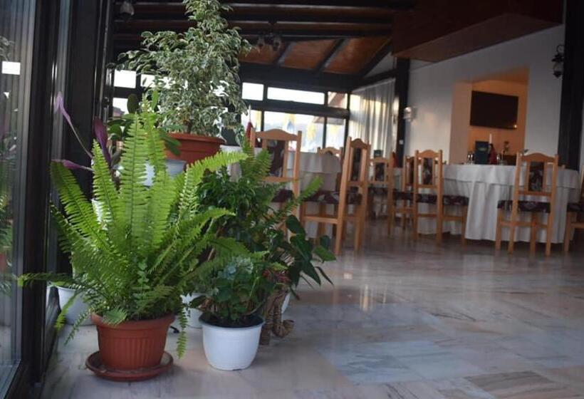 بنسيون Vila Teju Valeni