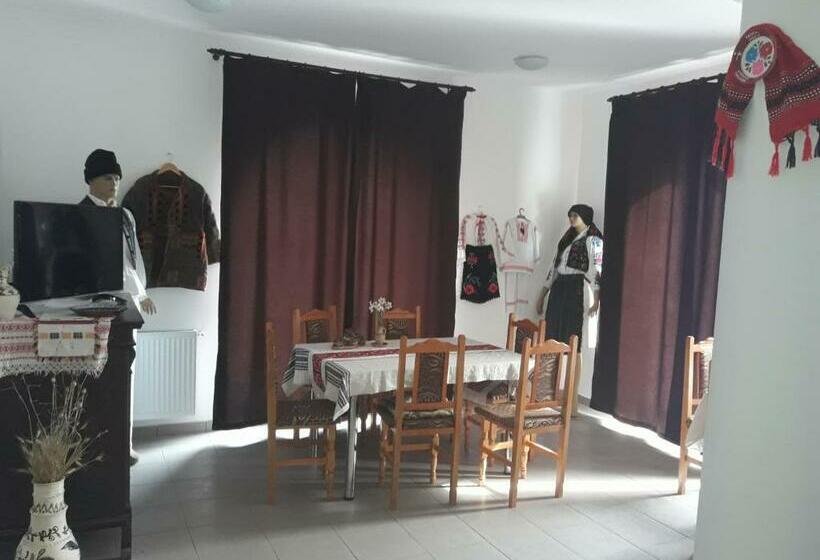 Pensiunea Casa Ungur