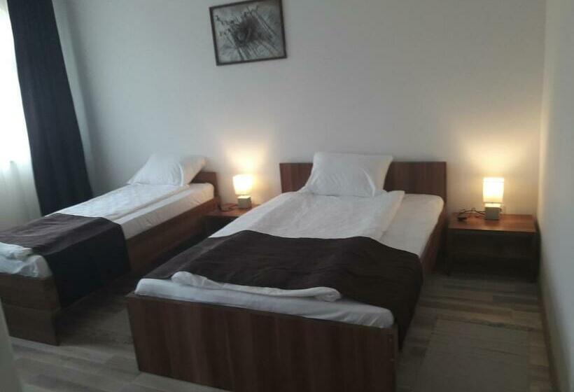 Pensiunea Casa Ungur