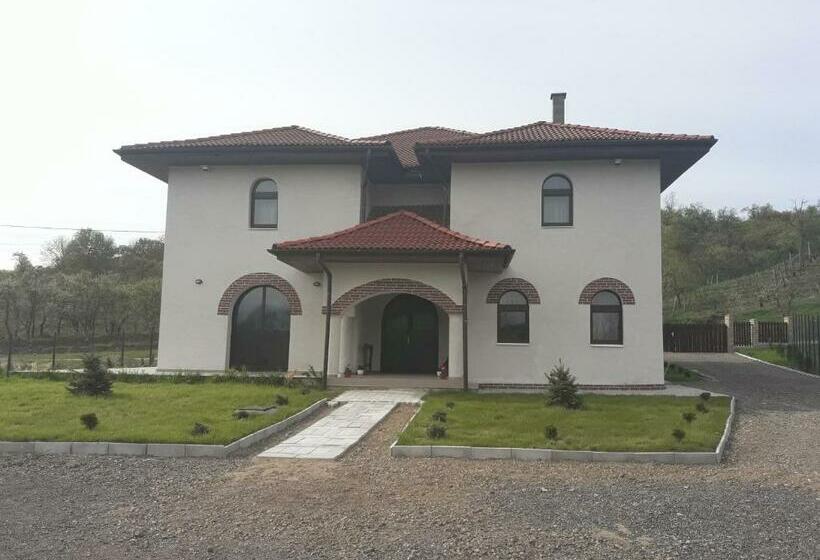 Pensiunea Casa Ungur