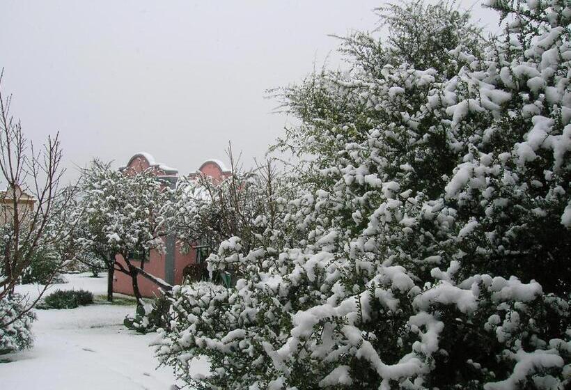 Общежитие Posada Los Antiguos Adults Only