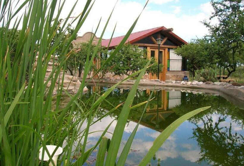 Общежитие Posada Los Antiguos Adults Only