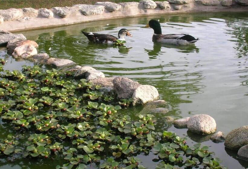 Общежитие Posada Los Antiguos Adults Only