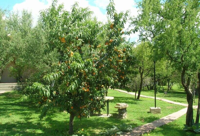 Общежитие Posada Los Antiguos Adults Only