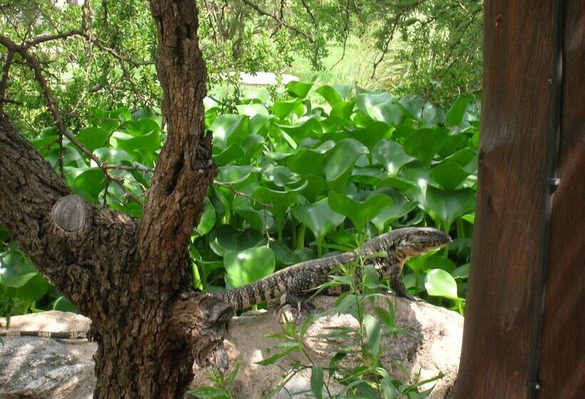 Общежитие Posada Los Antiguos Adults Only