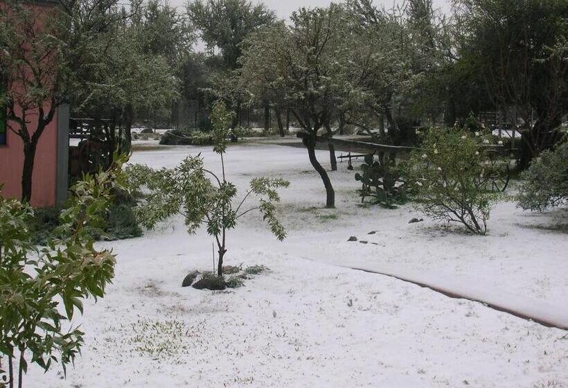 Общежитие Posada Los Antiguos Adults Only