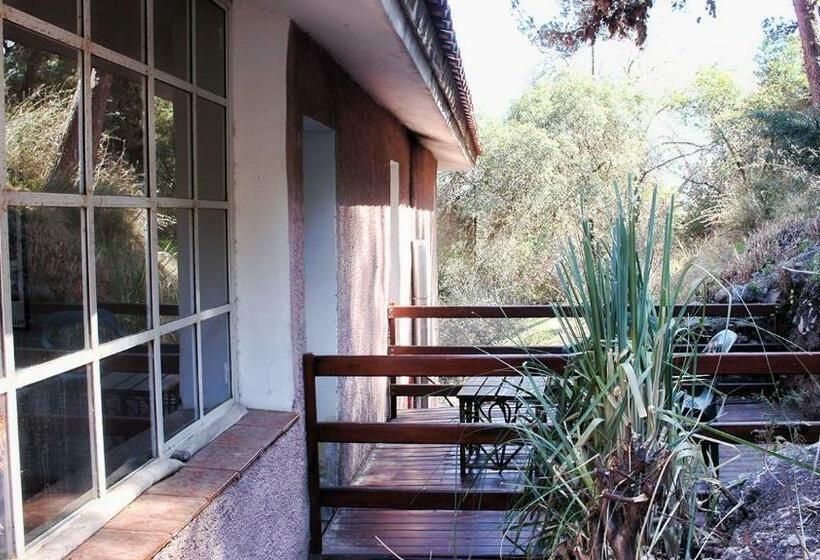 Общежитие Posada San Andres