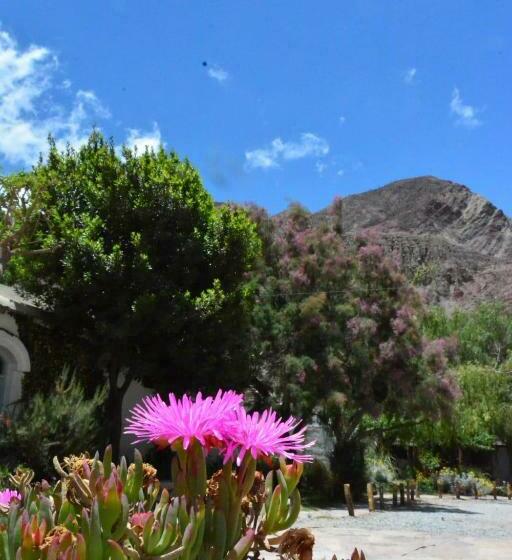 Общежитие Pumahuasi Hotel Boutique