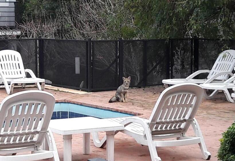 Complejo Entre Marte Y La Luna