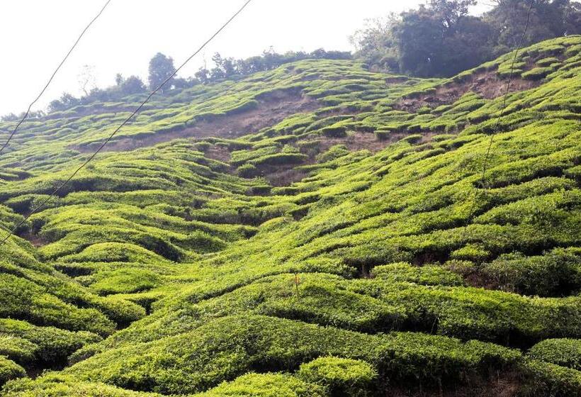 Green Garden Ayurvedic Resort & Green House