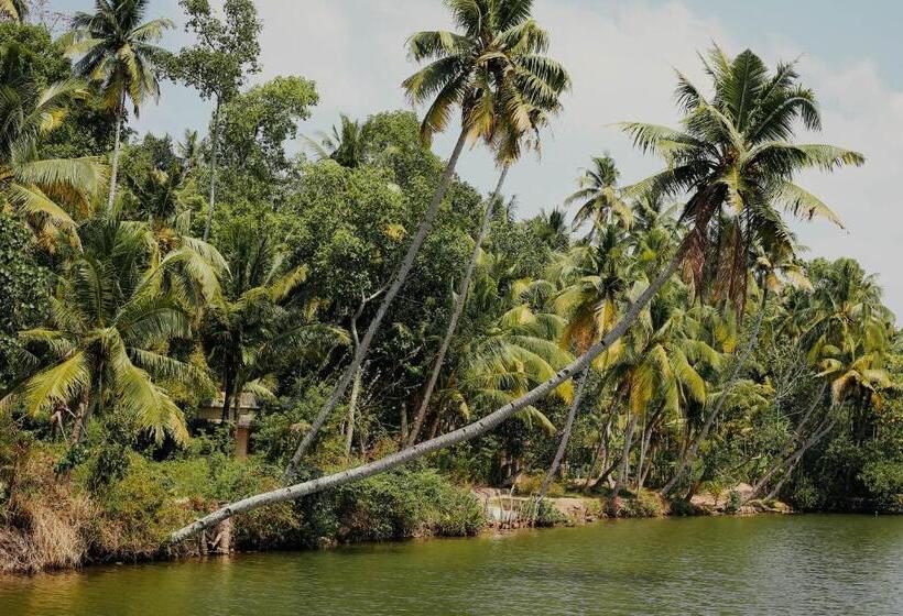 Green Garden Ayurvedic Resort & Green House