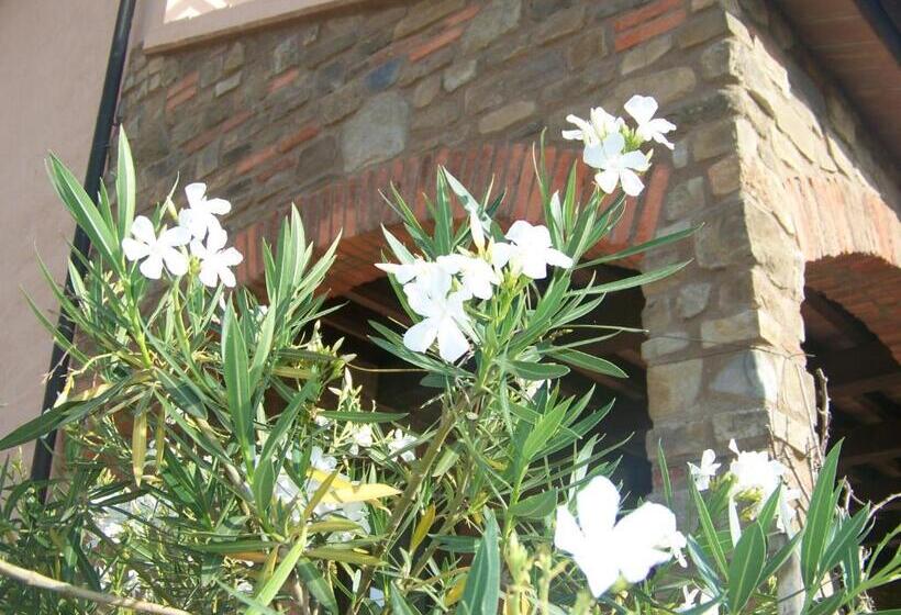 酒店 Agriturismo La Nocciolina